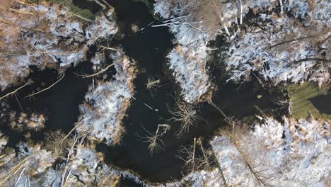 Aerial-vertical-ascending-shot-of-the-marshlands-covered-with-snow-in-winter