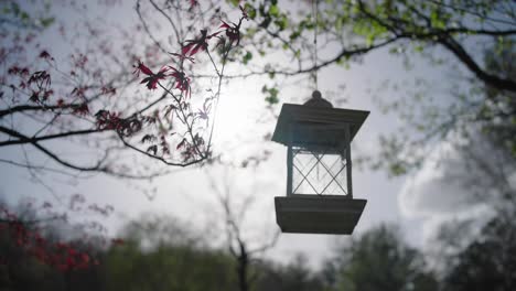 alimentador de pájaros colgado con cielo y árboles en el fondo y sin pájaros