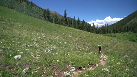 woman with backpack hiking on slope of elk mountain, maroon bells snowmass wilderness, colorado usa on sunny summer day, wide view