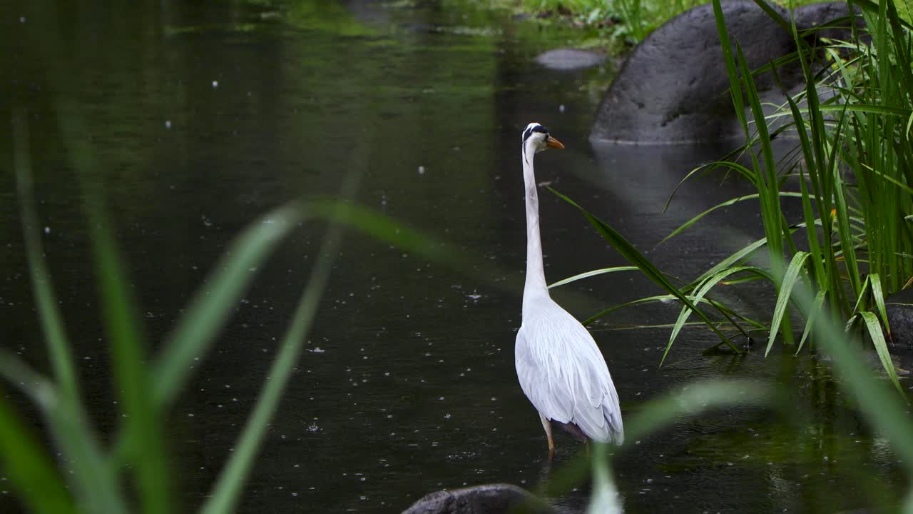 лучший вид в токио