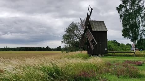 stary drewniany wiatrak z długą trawą wiejącą na wietrze