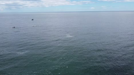 Flying-out-to-sea-kayaks-and-a-fishing-boat-in-the-background