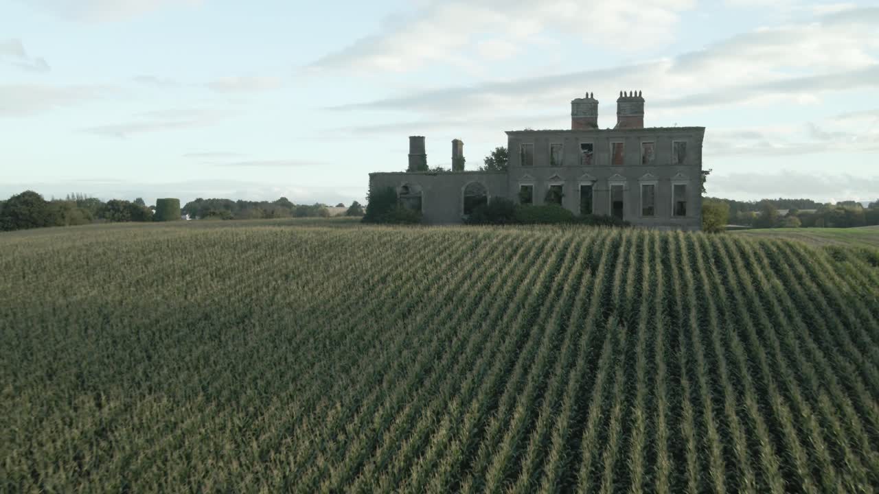 Casa in rovina in un campo di mais