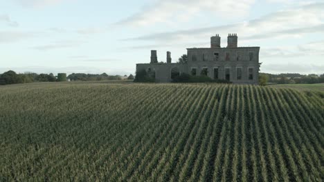 ruined house in a cornfield