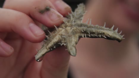 Close-up-of-woman-holding-a-small-starfish