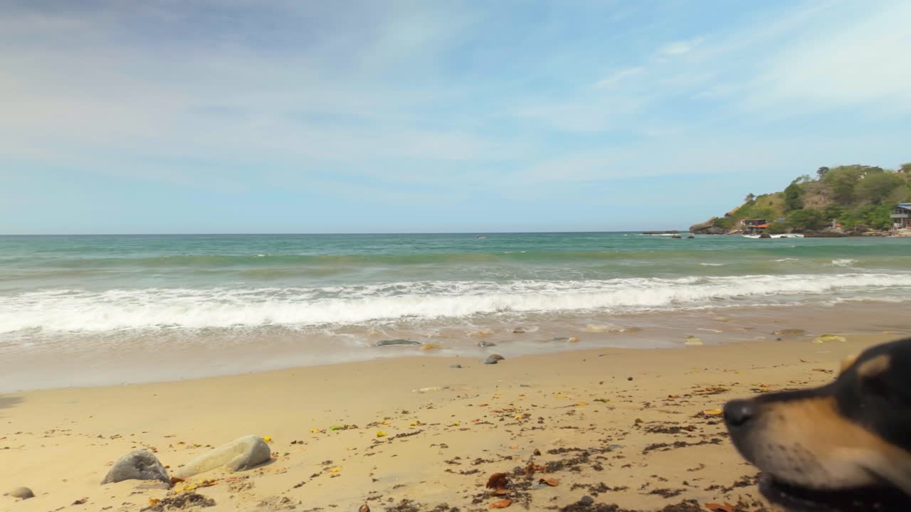 Panoramic view of a Caribbean beach in Venezuela with turquoise sea, child, dog and blue sky - Venezuela