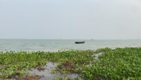 POV-of-a-man-observing-an-abandoned,-old-wooden-boat-that-is-stuck-in-the-water-from-a-shoreline-that-is-covered-in-aquatic-vegetation