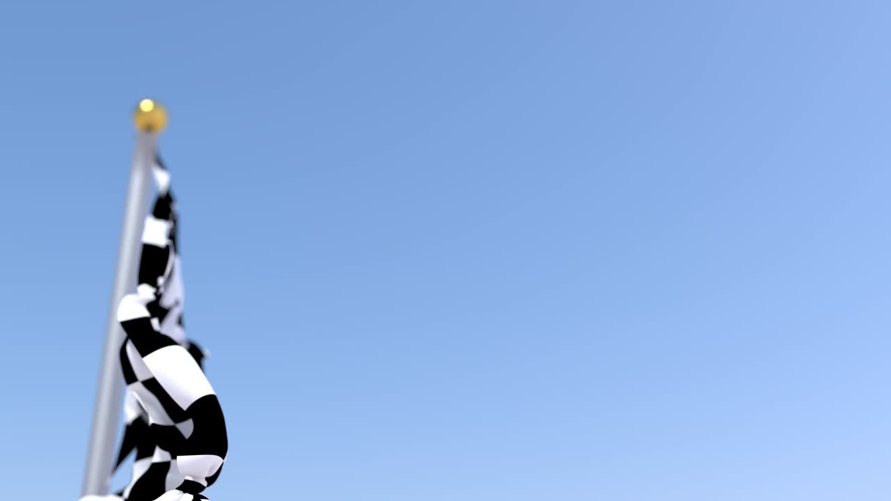 검은색과 색의 체커 발