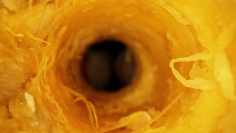 pulling back through core of a gourd, a couple of seeds on bottom of core