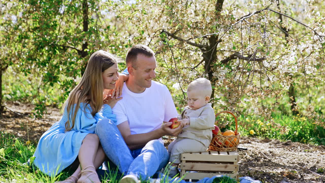 Parents and their adorable baby sitting in the garden. Daddy gives an apple to his son sitting on the crate.