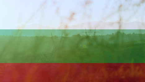 animación de la bandera de bulgaria sobre las torres