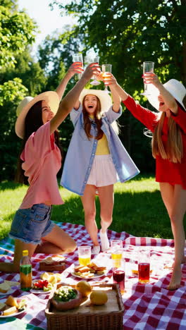 Women enjoying a joyful summer picnic and toasting outdoors