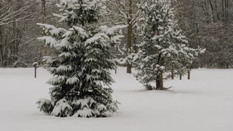 Shot-of-heavy-snowing-caused-by-lake-effect