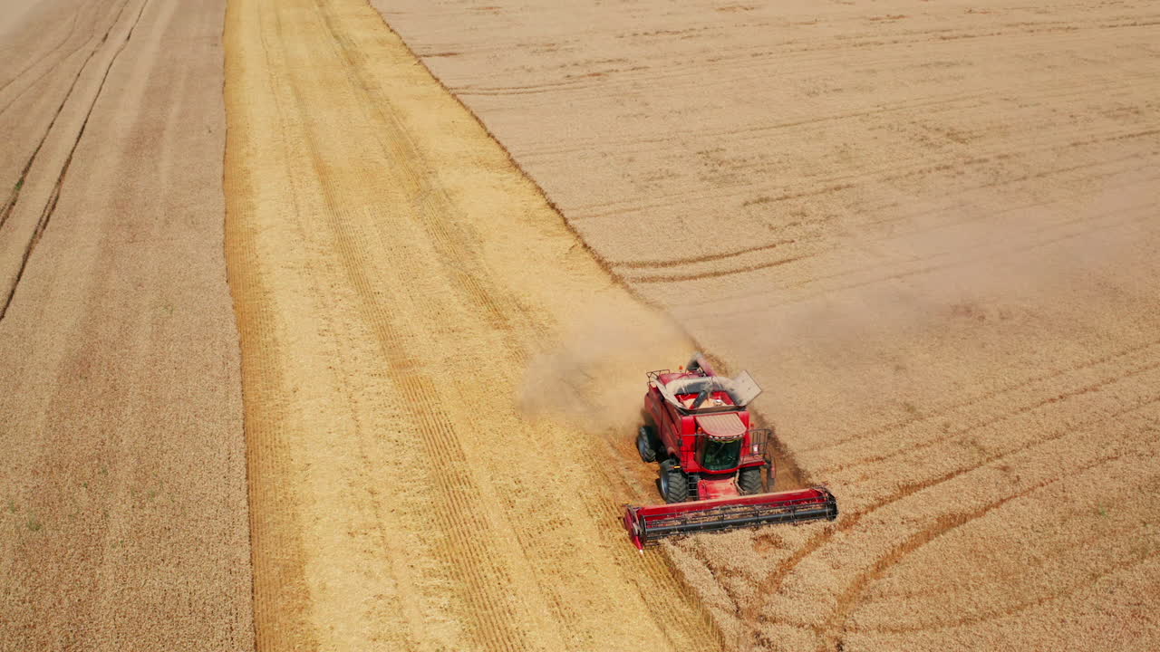 Red harvesting machine mowing the crops of wheat. Combine harvester working on the field in harvest season. Aerial perspective.