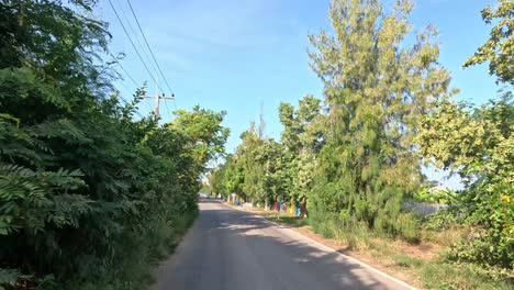 una progresión por un tranquilo y verdoso camino suburbano.