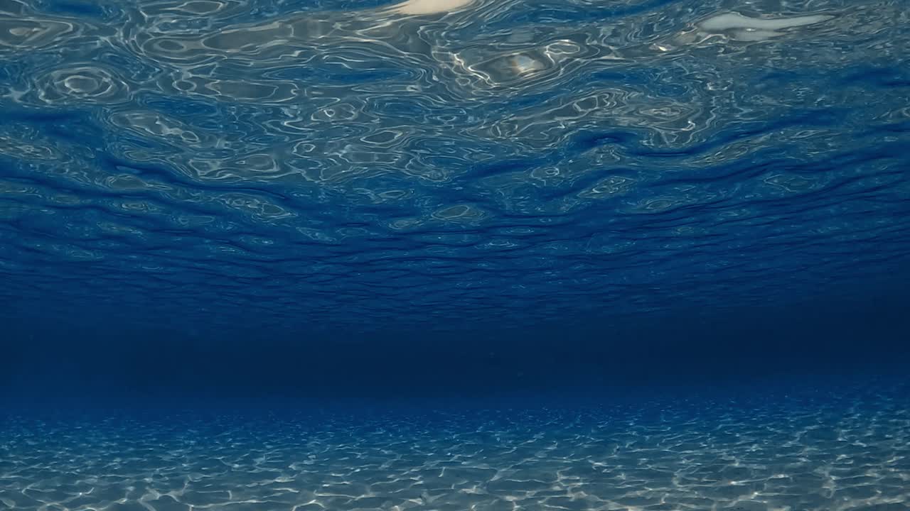 increíble escena bajo el agua de aguas cristalinas del océano tropical turquesa con superficie ondulada y reflejos en el fondo marino con fondo azul