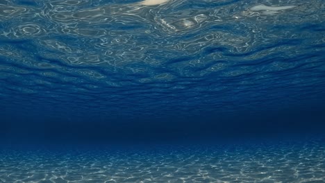 amazing under water scene of crystalline turquoise tropical ocean water with rippled surface and reflections on seafloor with blue background