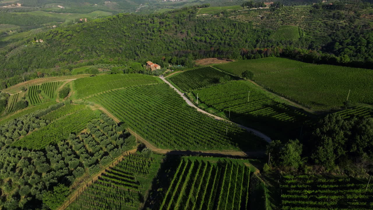 Scenic Verdant Landscape Of Vineyards In Chianti Region In Tuscany, Italy. Aerial Drone Shot