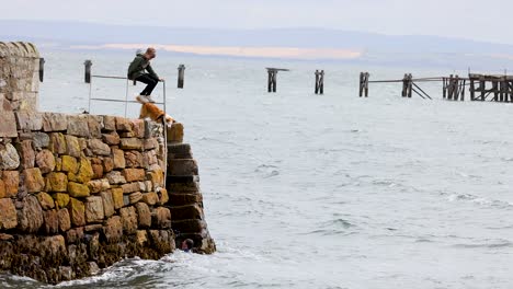 children and dog jumping into the sea