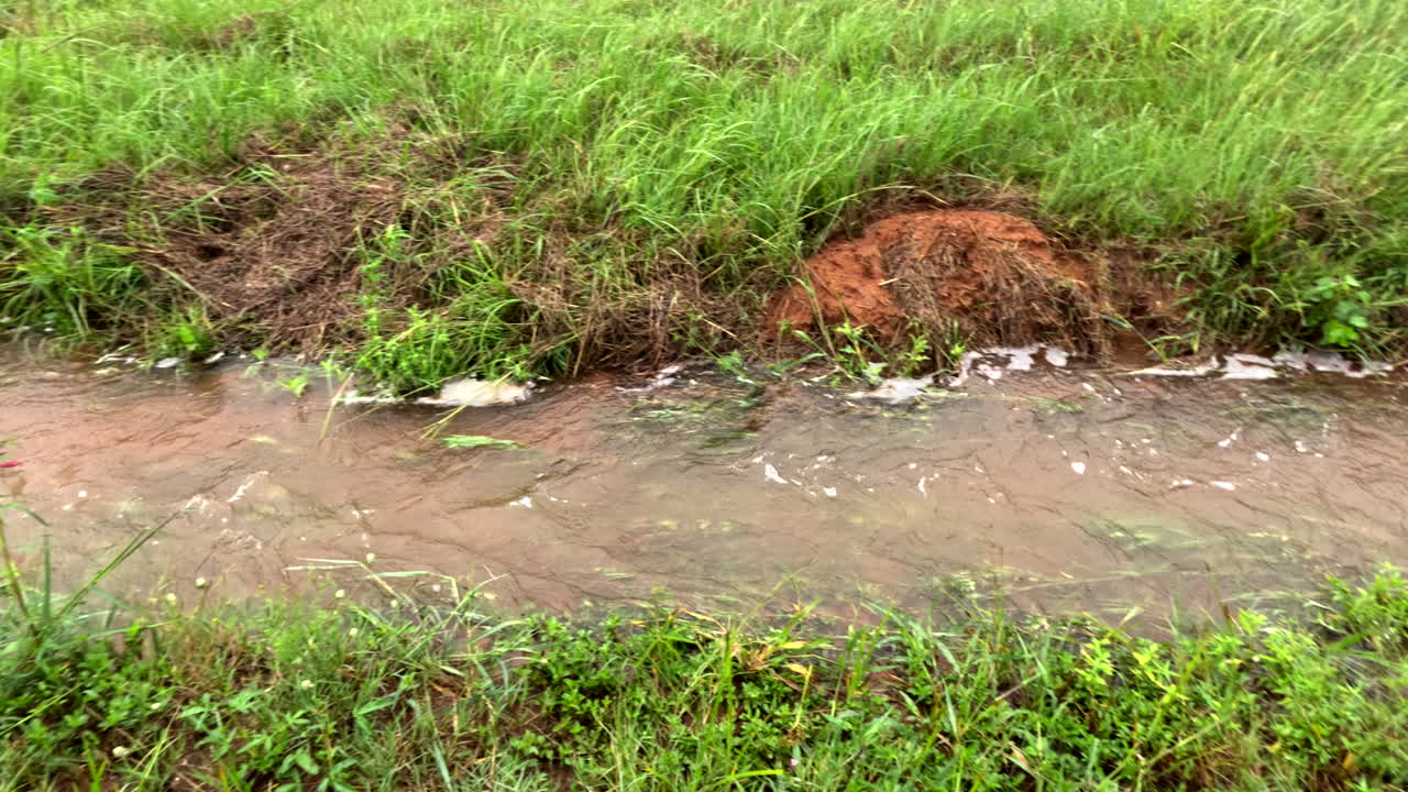 Rainwater runoff flowing through grass, showing erosion control and responsible farming