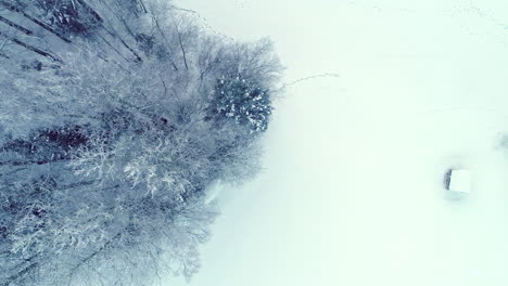 Sobrevuelo-Aéreo-Paisaje-Invernal-Blanco-De-Ensueño-Con-árboles-Forestales-Helados-En-El-área-Rural-Durante-El-Día