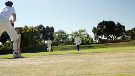 cricket player standing together during cricket match