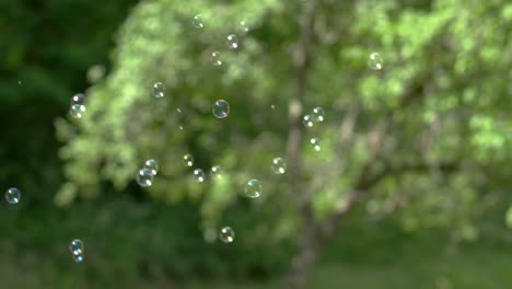 soap bubbles floating in air