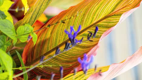 beautiful vertical time lapse of flowers in a planter bed