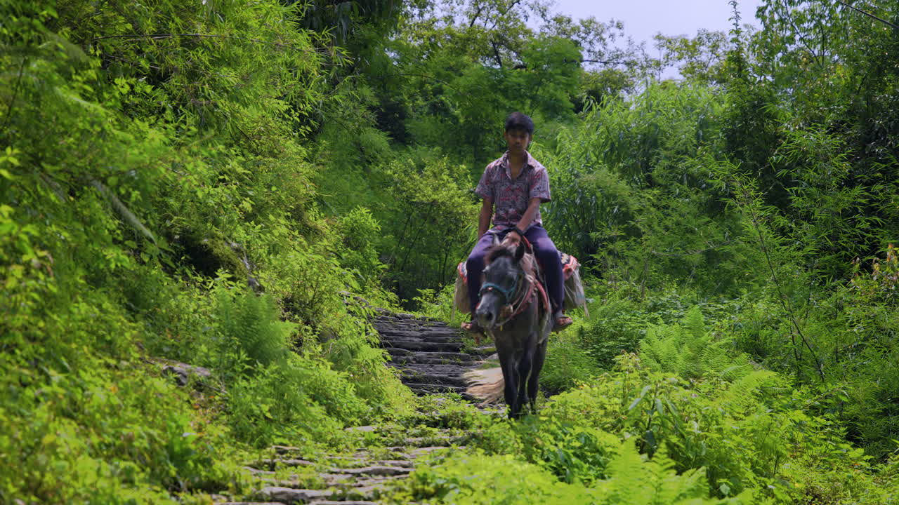 joven montando un caballo negro en los senderos verdes de la región de nepal annapurna