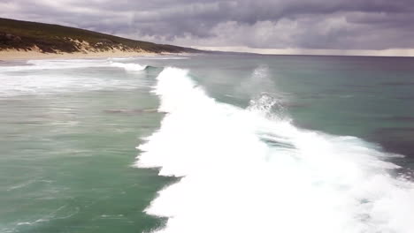 delfines australia occidental drone por taylor brant película