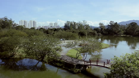 drone shot of a green park in midst of a big city with green trees, a lake, a little bridge and the city buildings in the foreground.