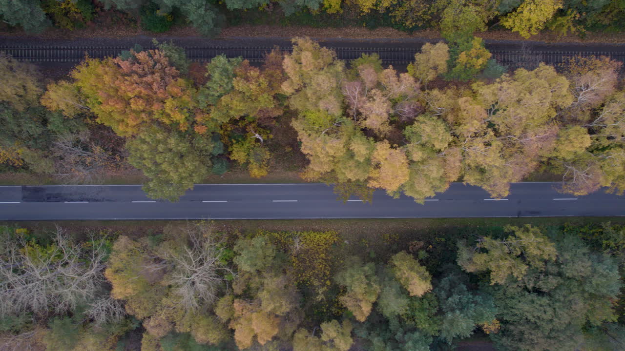 다채로운 가을 숲을 나누는 나무로 둘러싸인 도로의 위에서 아래로 볼 수 있습니다.