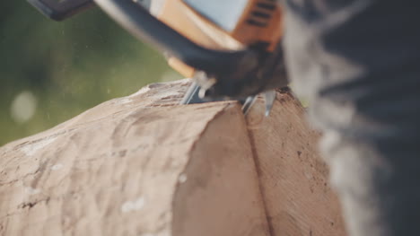 man using chainsaw and cutting wood