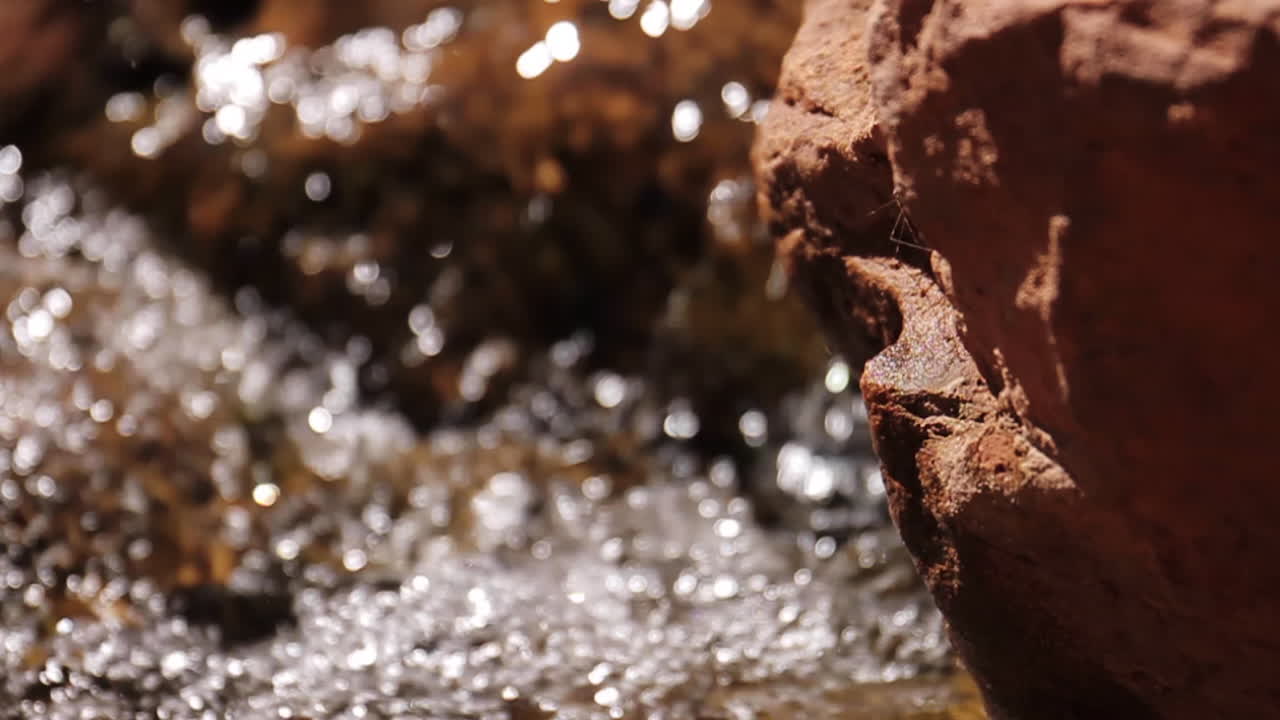 강 하이킹 시온 국립 공원의 물 흐름