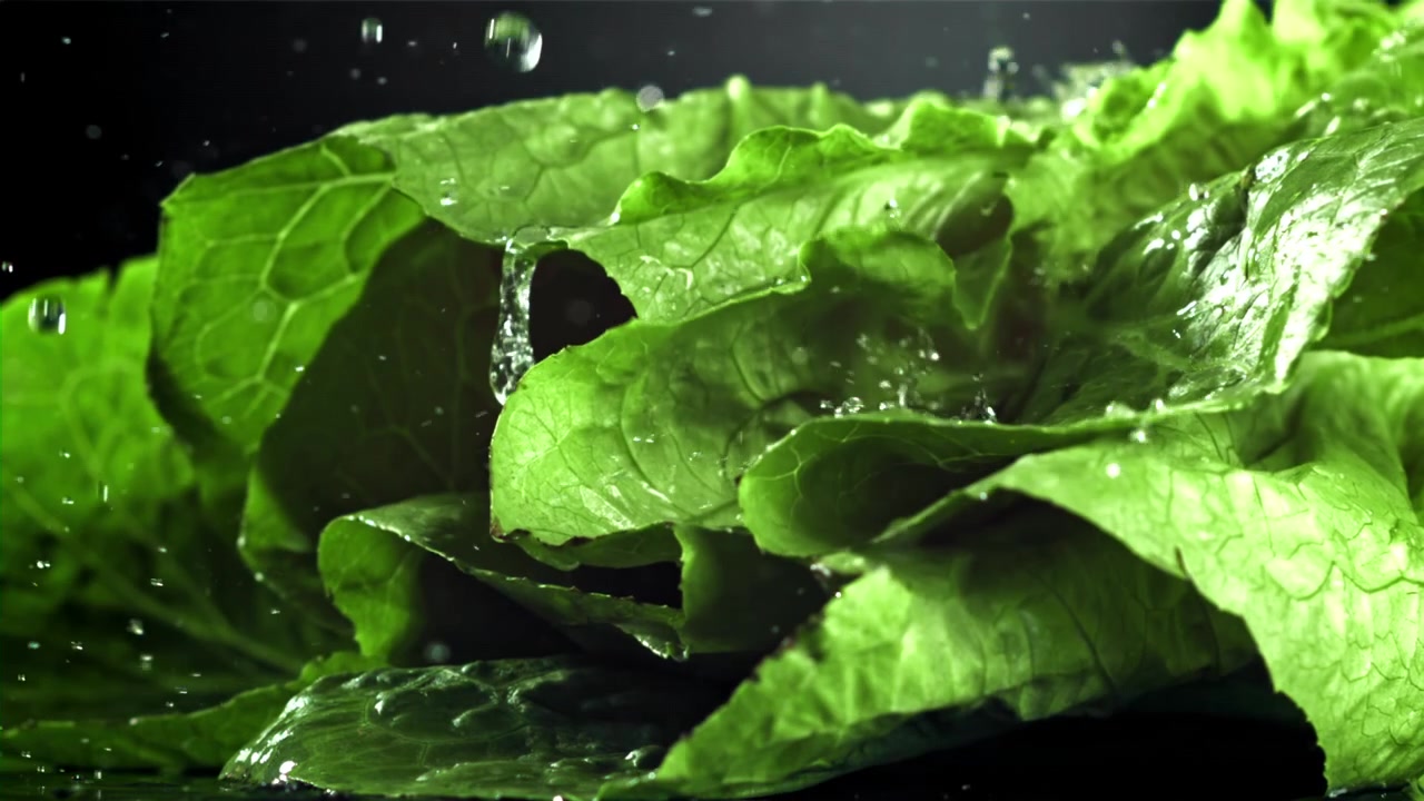 Primo piano di foglie di lattuga verde fresca con goccioline d'acqua che schizzano