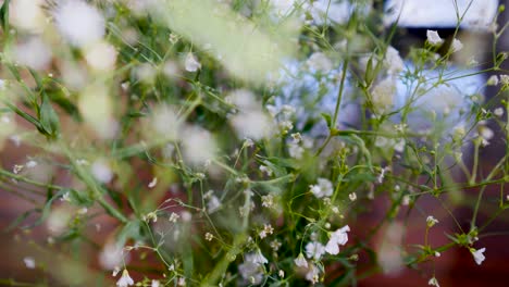 Gypsophila-Monarca-Blanco,-Exhibición-De-Flores-Blancas-Botánicas-En-Un-Jarrón-De-Flores-En-El-Salón-Primer-Plano-De-La-Flor-Blanca-En-La-Casa