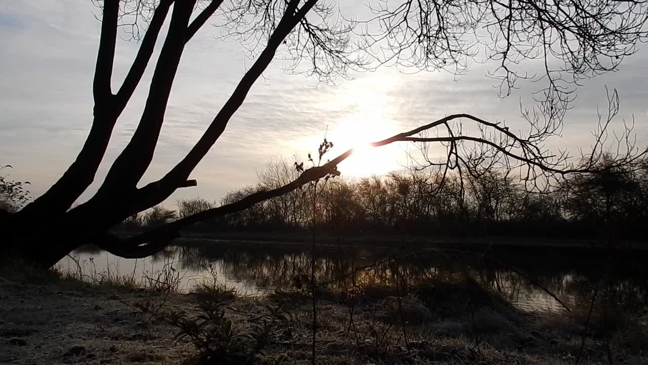이른 아침 좁은 운하 채널 위에 나뭇가지 뒤에 빛나는 일출이 서리가 내린 물에 파문을 일으켰다