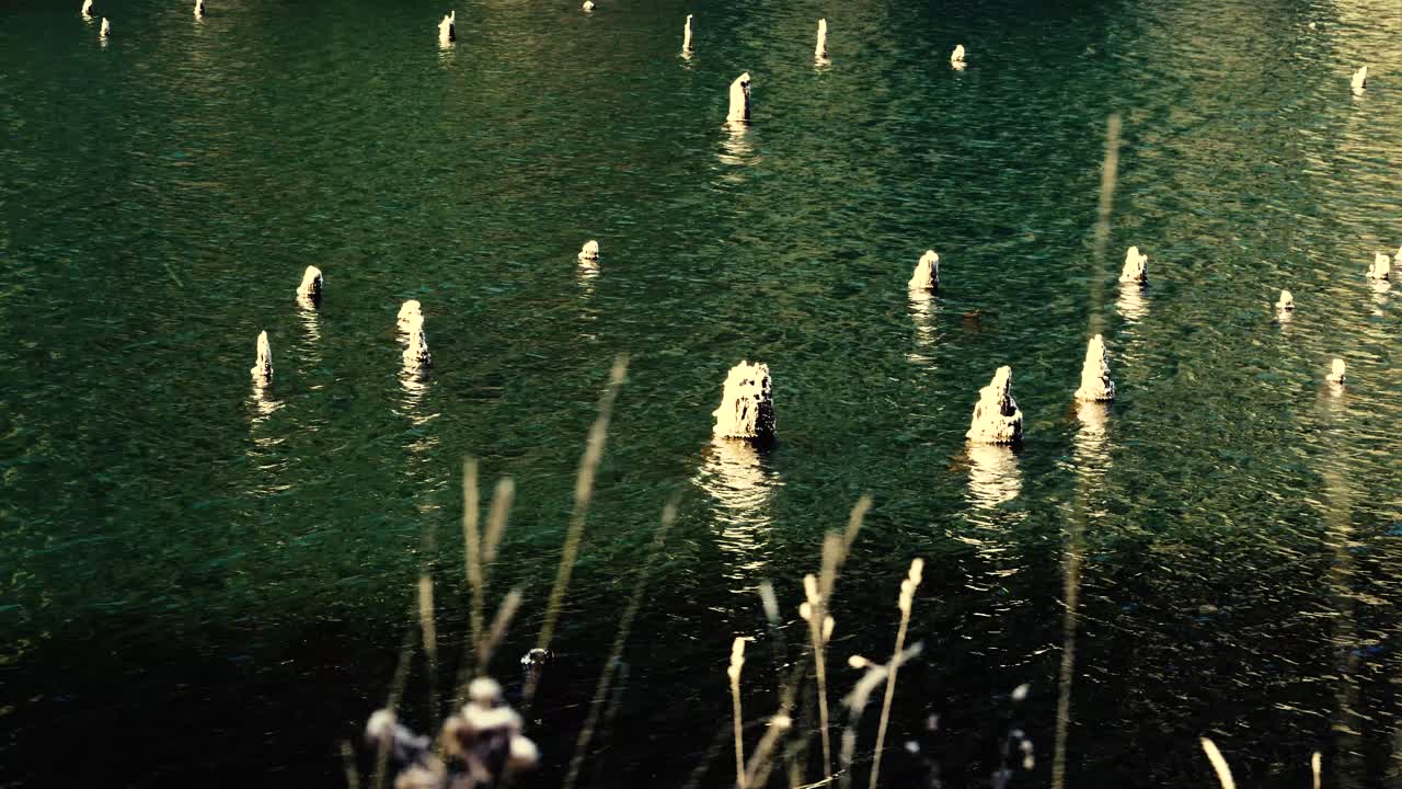 루마니아의 붉은 호수에서 바람이 부는 날의 안정적인 샷