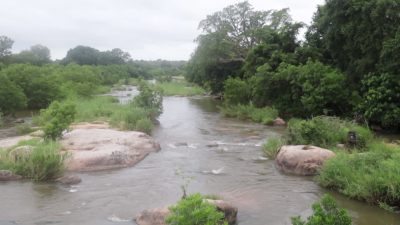 el paisaje etéreo, pacífico y brumoso del río en el parque nacional kruger, áfrica