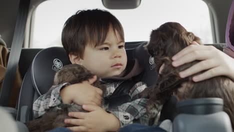 Los-Niños-Y-Los-Cachorros-Pequeños-Viajan-En-Un-Coche.