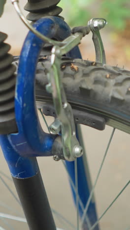 close-up of someone testing the front brake of a bike on a paved path, with visible tire tread and brake mechanics, lush greenery and scattered dry leaves are present on the ground