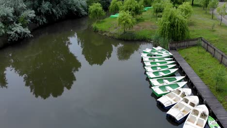 small boats in the lake with green willow trees in summer