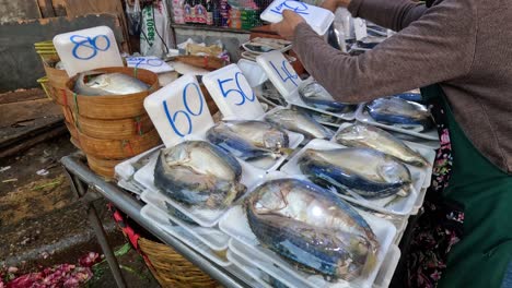 vendor organizing fish on display for sale