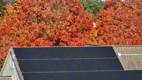 Solar-panels-on-shingle-roof-surrounded-by-orange-leaves-of-autumn-trees