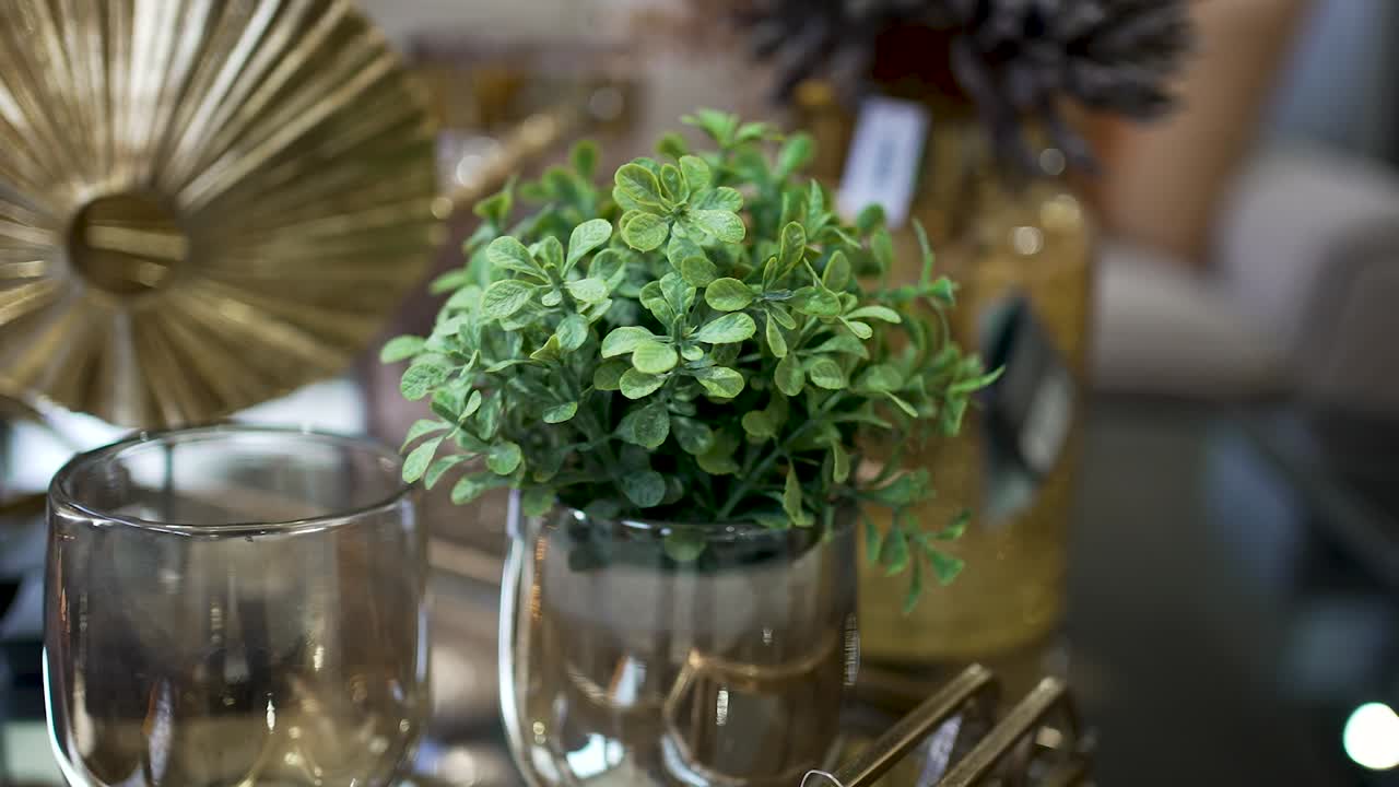 Indoor plants enhance any room with their vibrant greenery. Discover how to use them alongside decorative items to create a warm and inviting space in your home