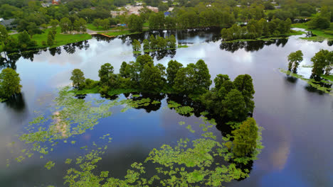 drone slow orbit around lush wetland river and trees growing in the still reflective water with cloud and sky reflections