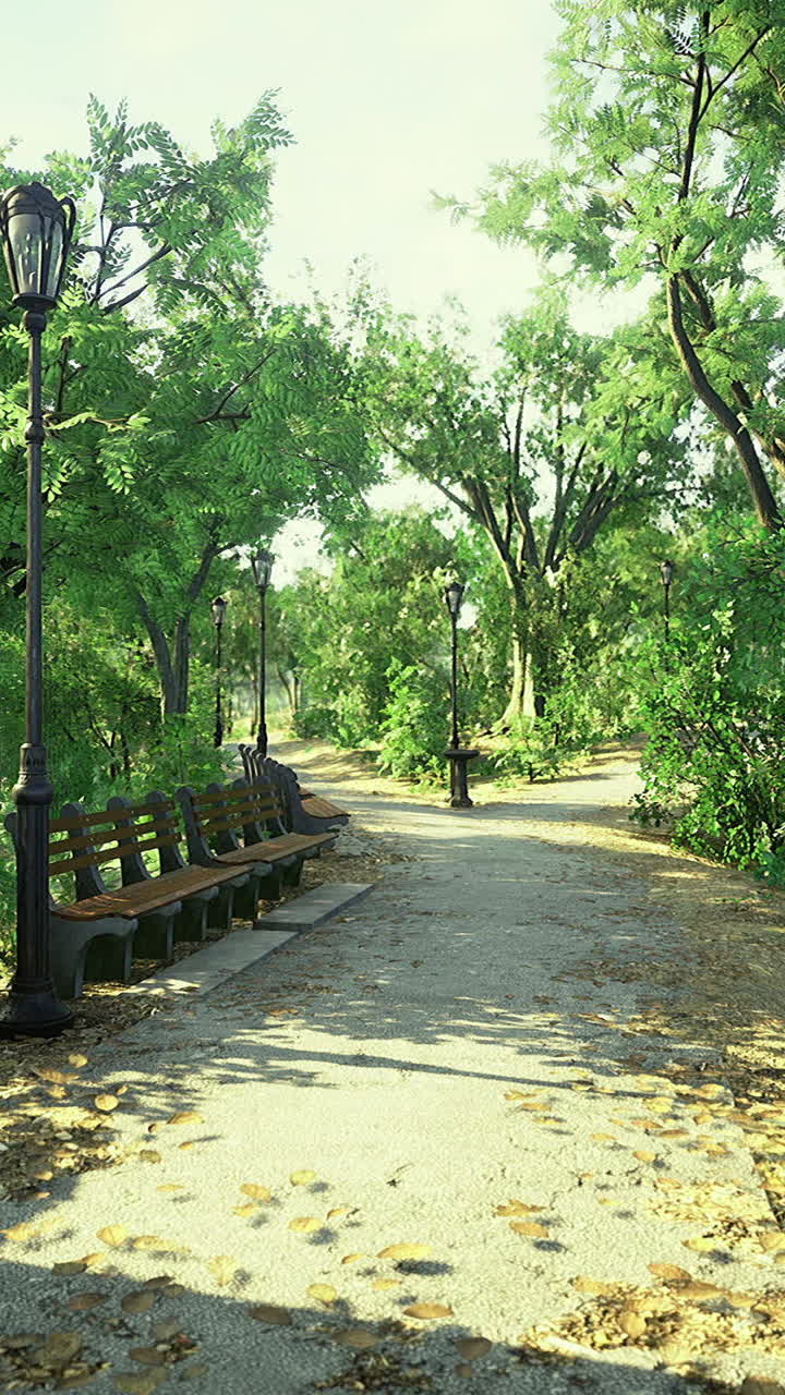 Serene park pathway with benches surrounded by lush greenery in daylight