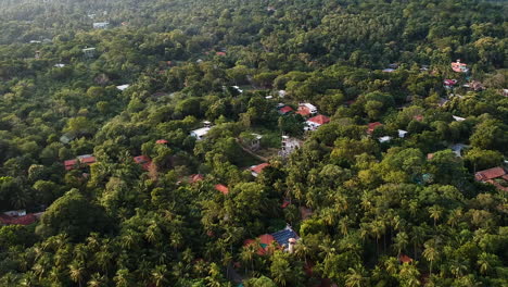 Luftaufnahme-über-Dem-Idyllischen-Strand-Von-Sri-Lanka