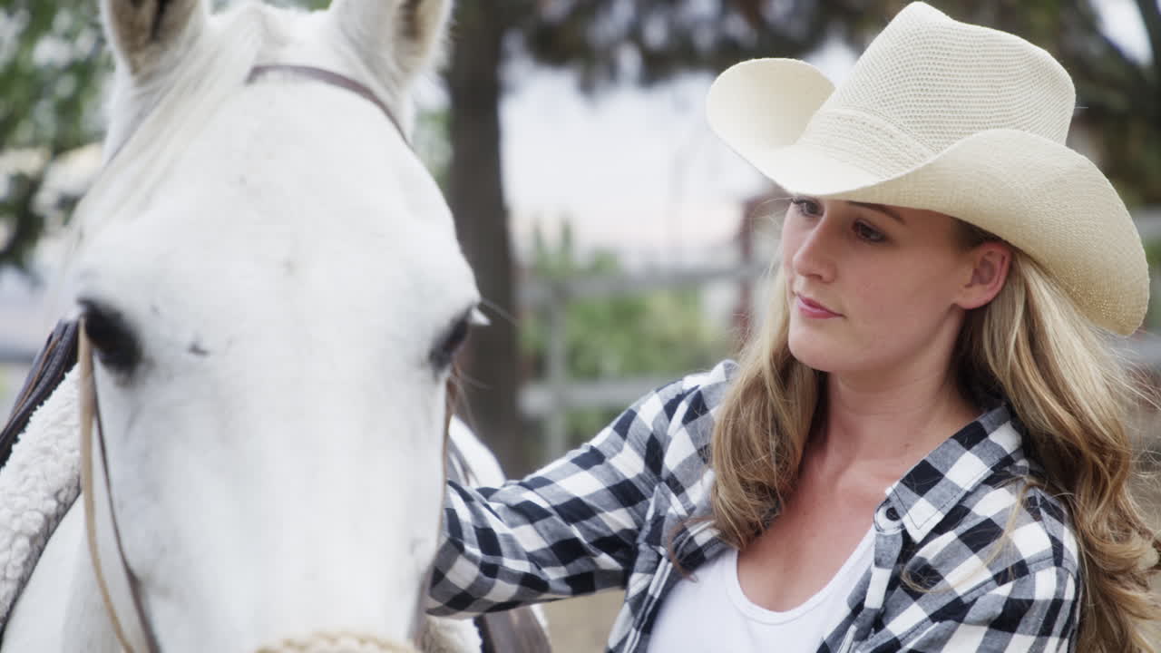 mientras tanto de vuelta en el rancho