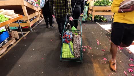 people shopping with carts at a market